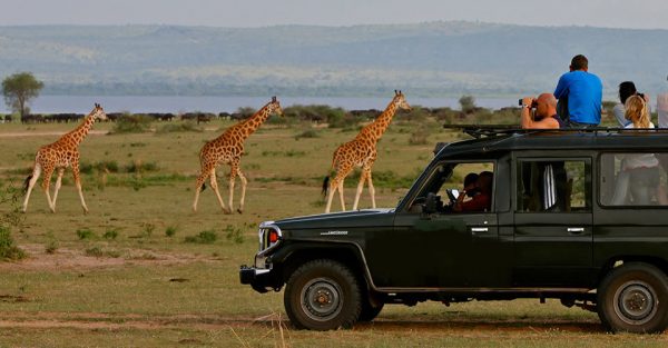 10 best Tips for planning Family Uganda safari holiday vacation